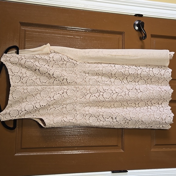 Ann Taylor-Beige lace sheath dress with chiffon overlay on right side Sz 16P - Picture 8 of 8